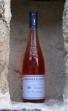 cabernetanjou